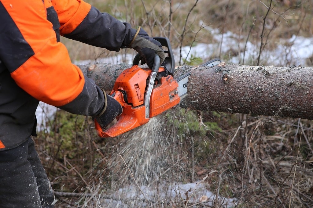 Elaguer les branches en toute sécurité au bon moment